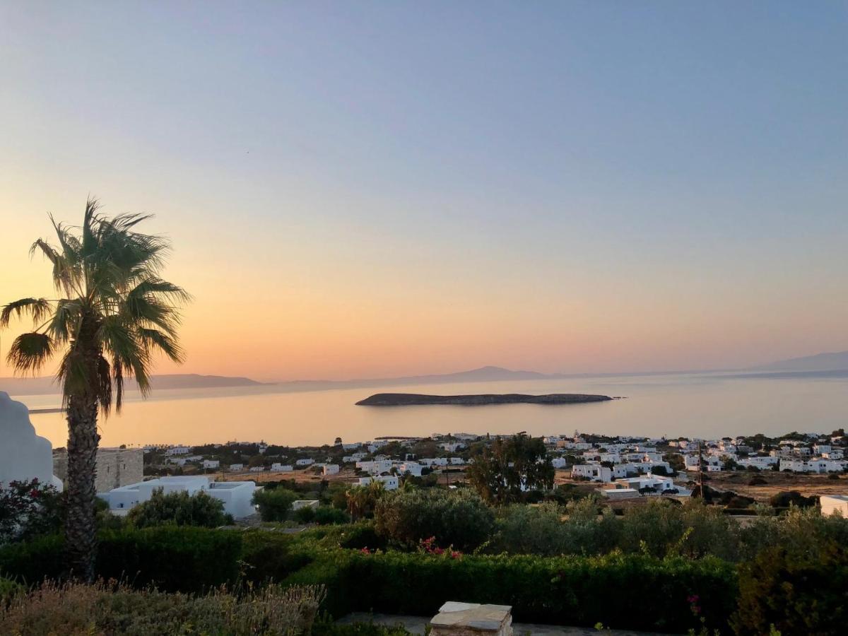 Villa Rossi Paros Luxury Apartments And Suites Дріос Екстер'єр фото