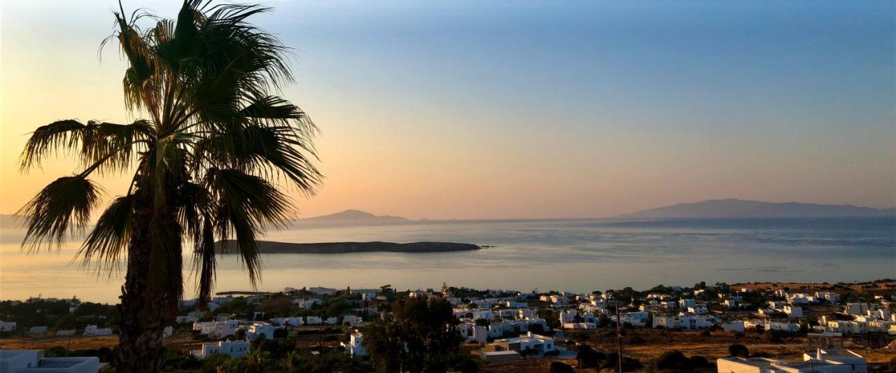Villa Rossi Paros Luxury Apartments And Suites Дріос Екстер'єр фото