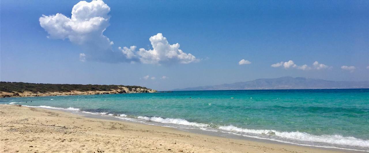 Villa Rossi Paros Luxury Apartments And Suites Дріос Екстер'єр фото